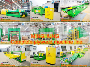 MINGHUNG complete plywood line.jpg