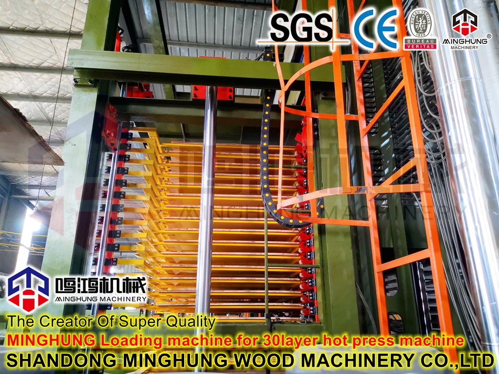 kontrplak sıcak pres makinesi için besleme