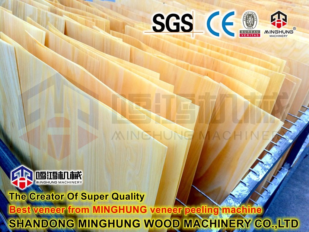 Shandong-Minghung-Wood-Machinery-Co-Ltd- (2)