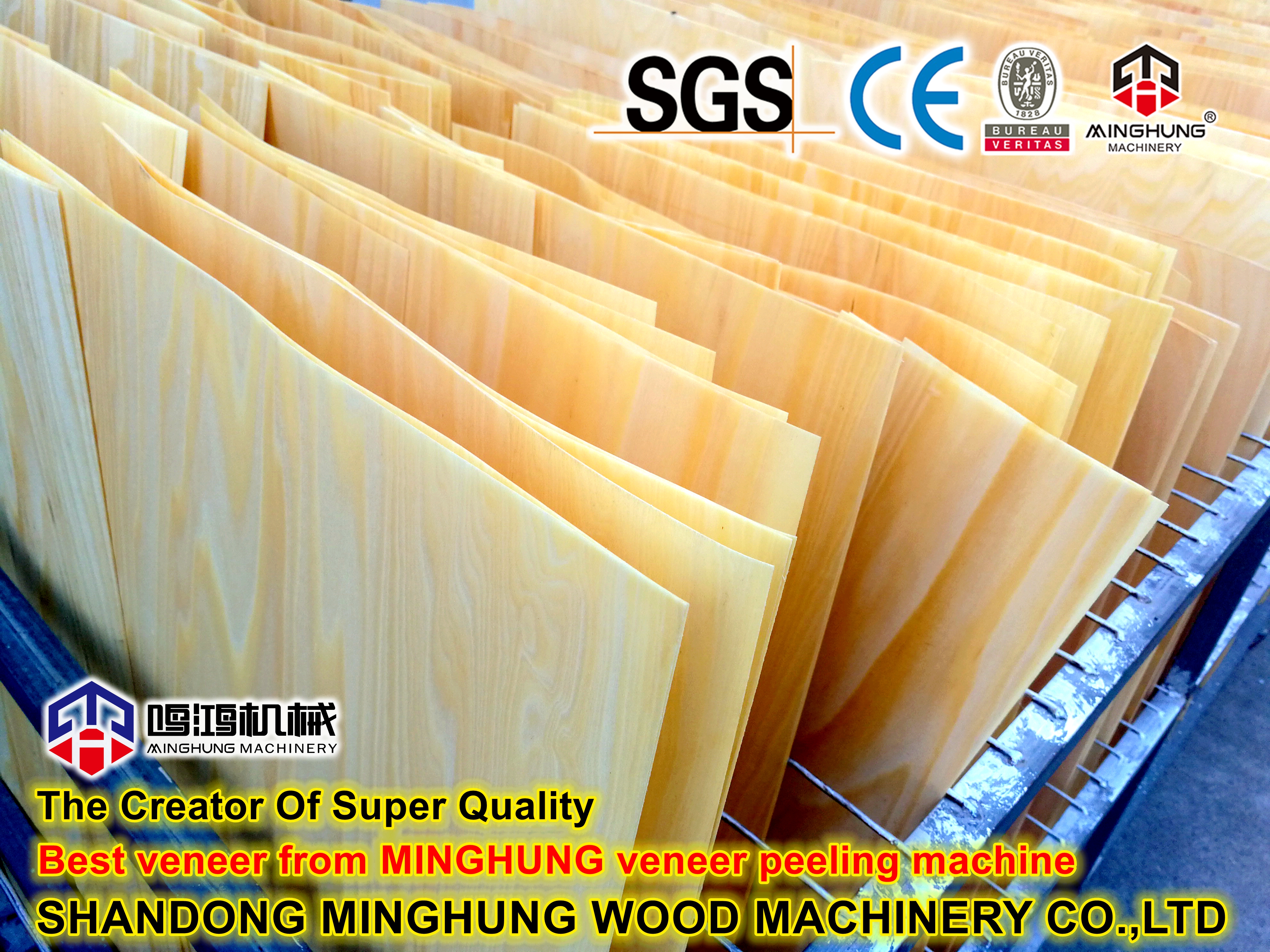 kaplama &ccedil;ekirdeği