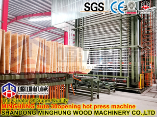 Kontrplak Yapımı için Hidrolik Pres Makinesi Sıcak Presleme