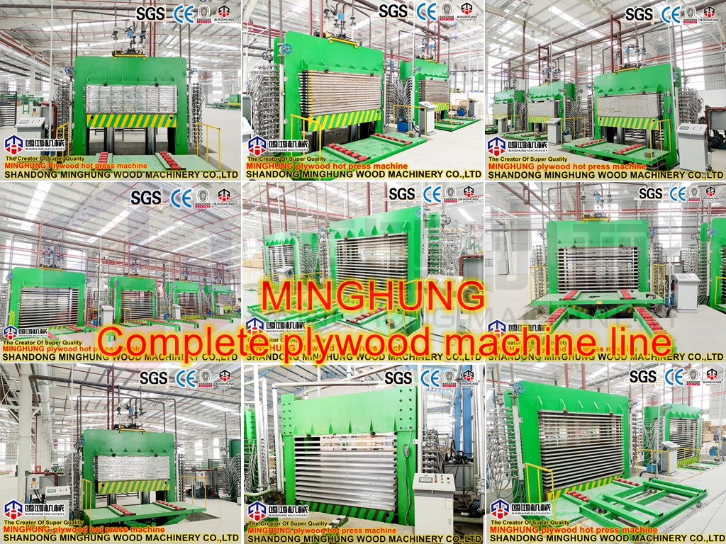 MINGHUNG SICAK BASIN MAKİNASI_副本