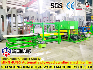 plywood sanding machine line.jpg