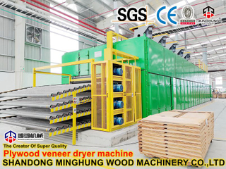 Uygun Maliyetli Kontrplak Kurutma Makinesi