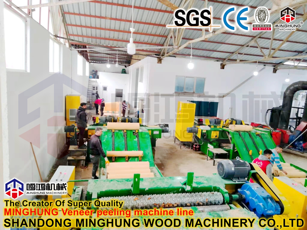 MINGHUNG KAPLAMA SOYMA MAKİNESİ
