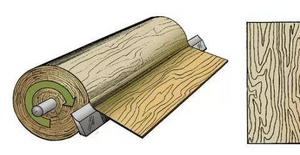 veneer.png