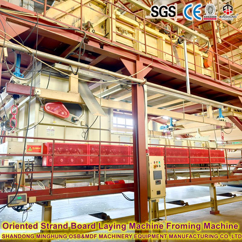 800m³ günlük yüksek stabilite OSB üretim hattı 1220x2440mm