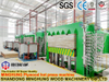 500t/600t/800t Hidrolik Kontrplak Sıcak Pres