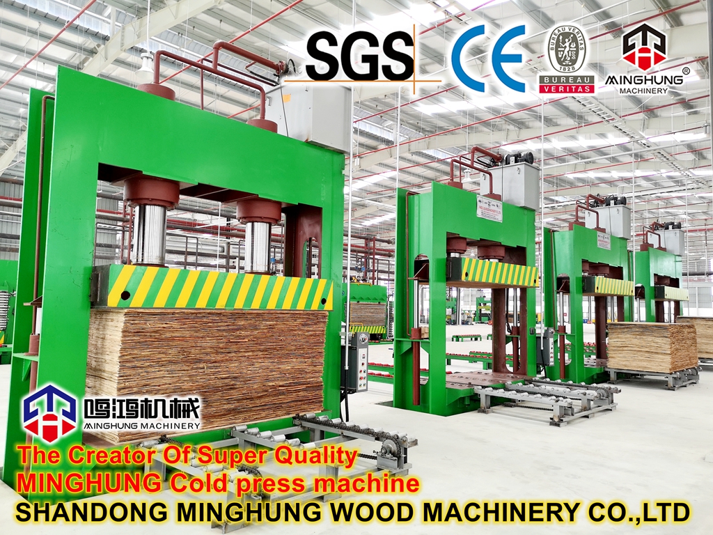 MINGHUNG kontrplak işleme için soğuk rpess makinesi