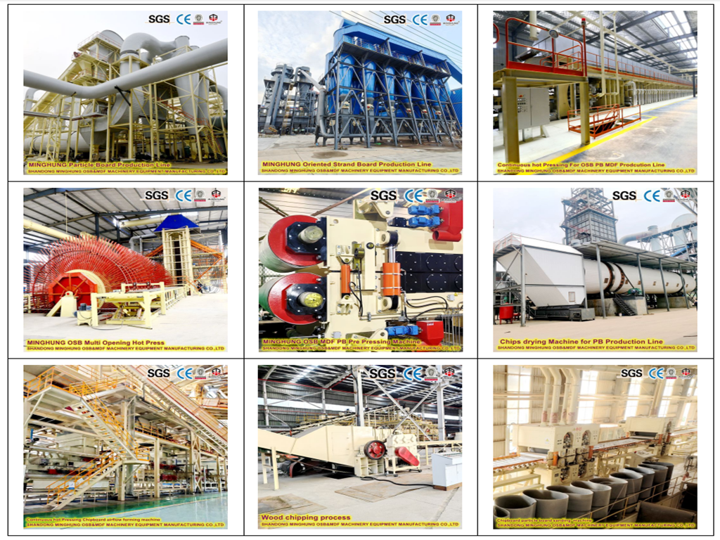 Çin Sunta MDF OSB Üretim Hattı 