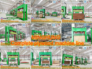 MINGHUNG cold machine machine_副本1.jpg