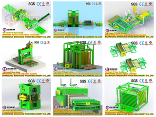 Çift Taraflı Kalınlık Sabitleme Zımpara Makinesi ile Donatılmış Kontrplak Üretim Hattı